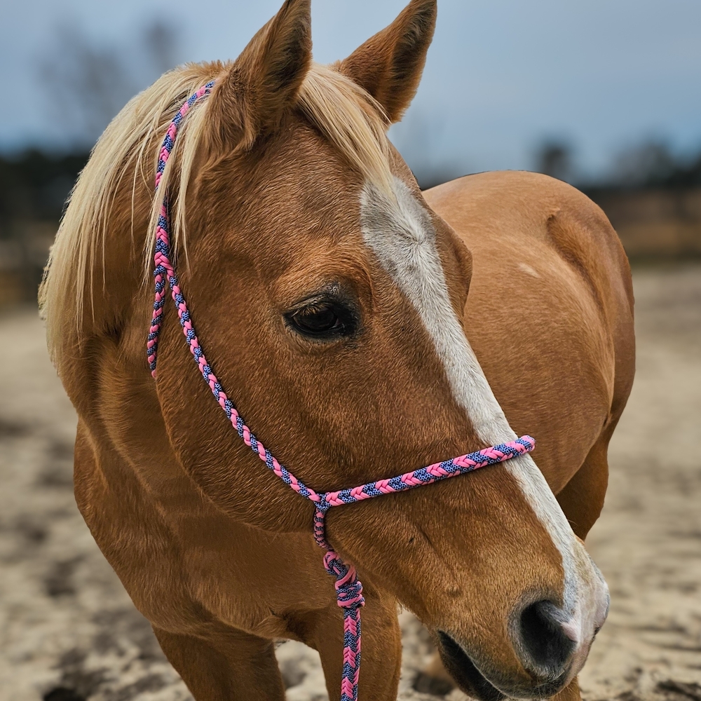 Pink and Blue Braided Rope - Picture 2 of 6